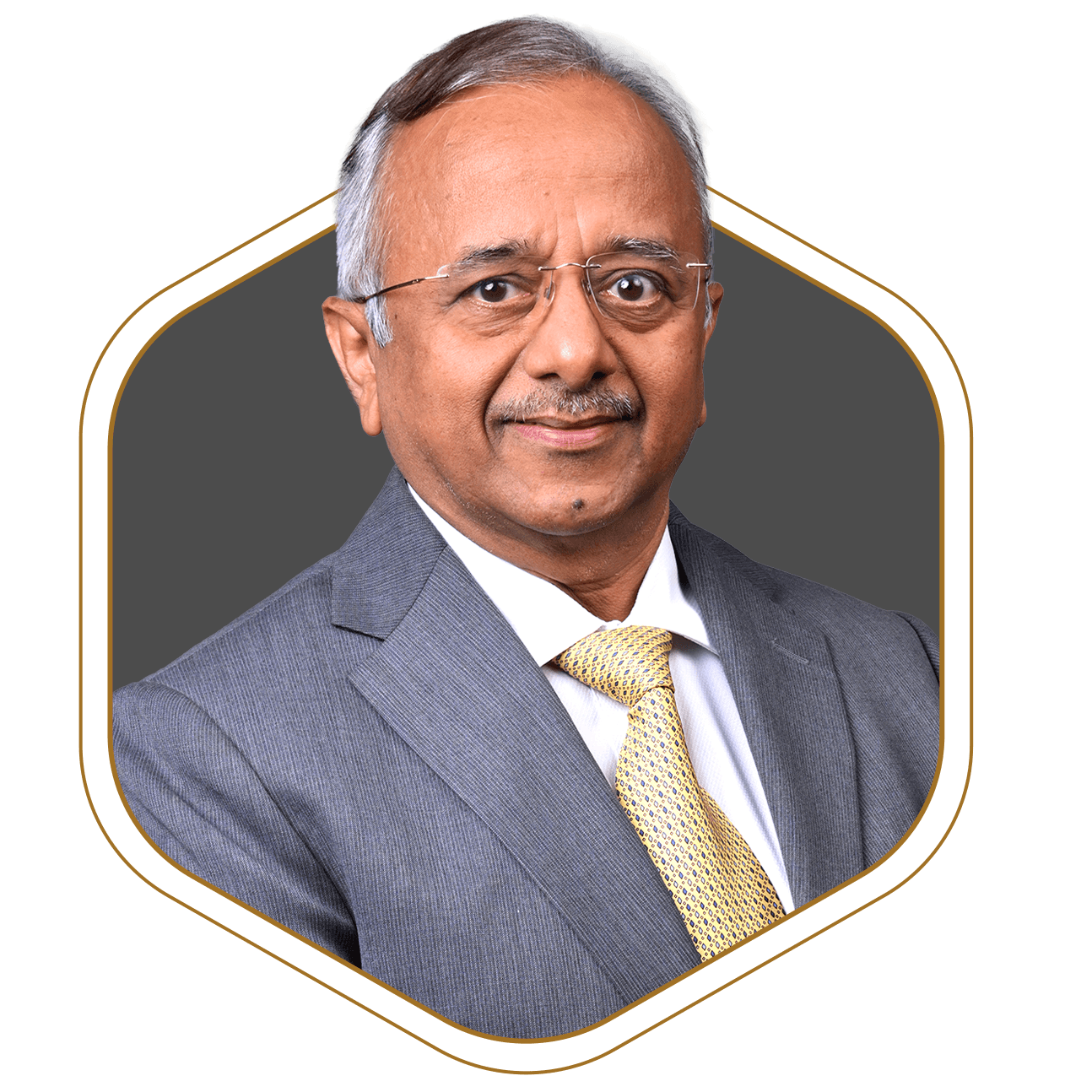 Mr. Hemant Bhargava image