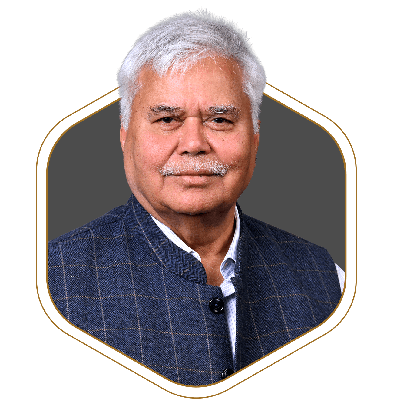 Dr. Ram Sewak Sharma image